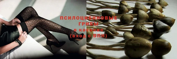 круглые Алзамай