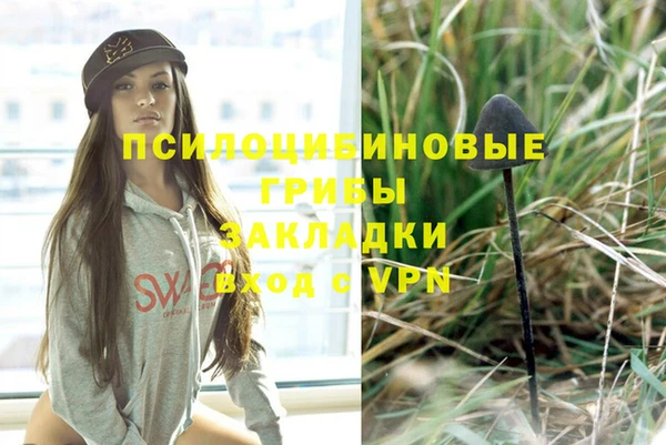круглые Алзамай