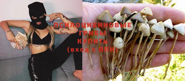 круглые Алзамай